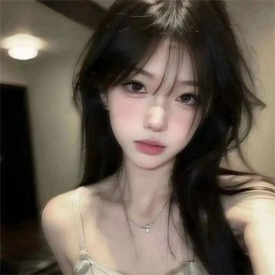 西部战线